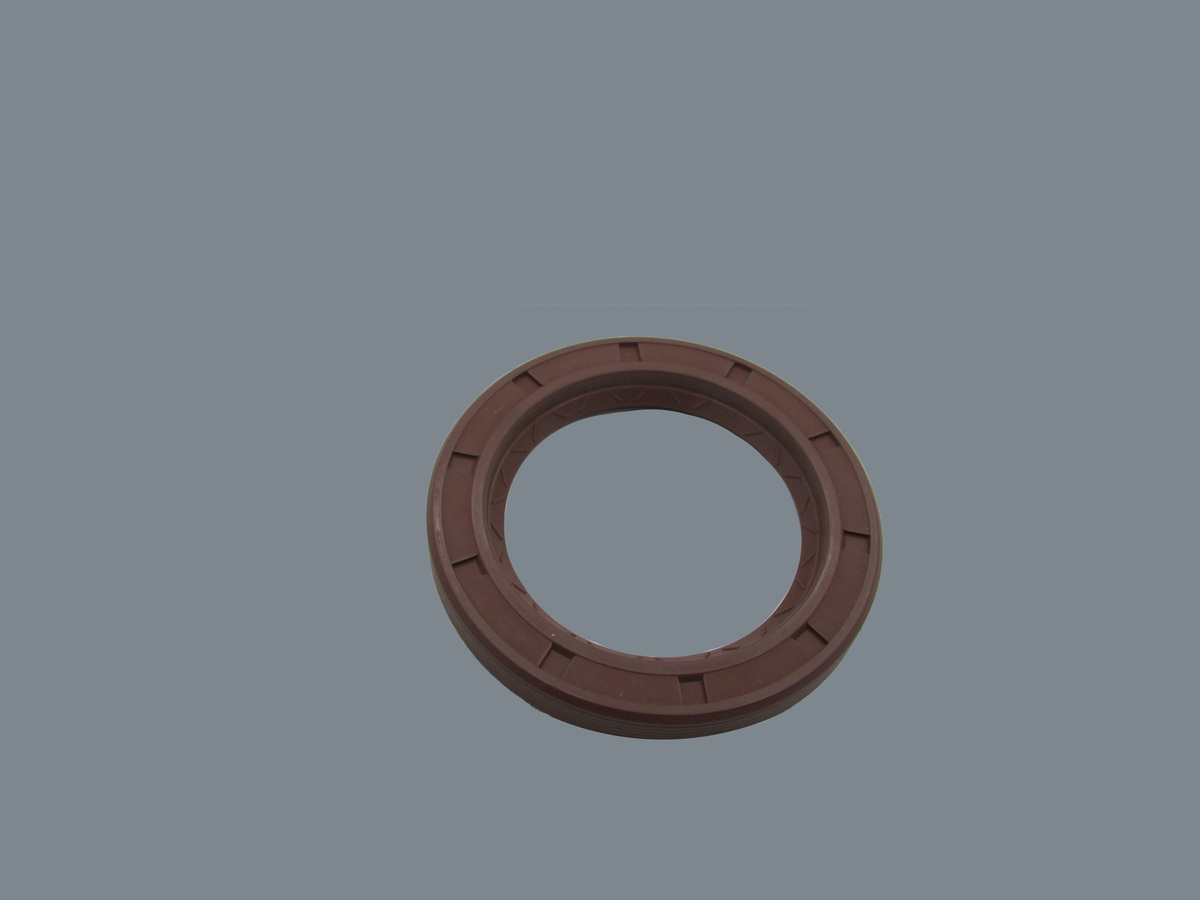 Shaft Seal, 45 x 65 x 8, Leybold, Ruvac, RA3001, Part# 310107