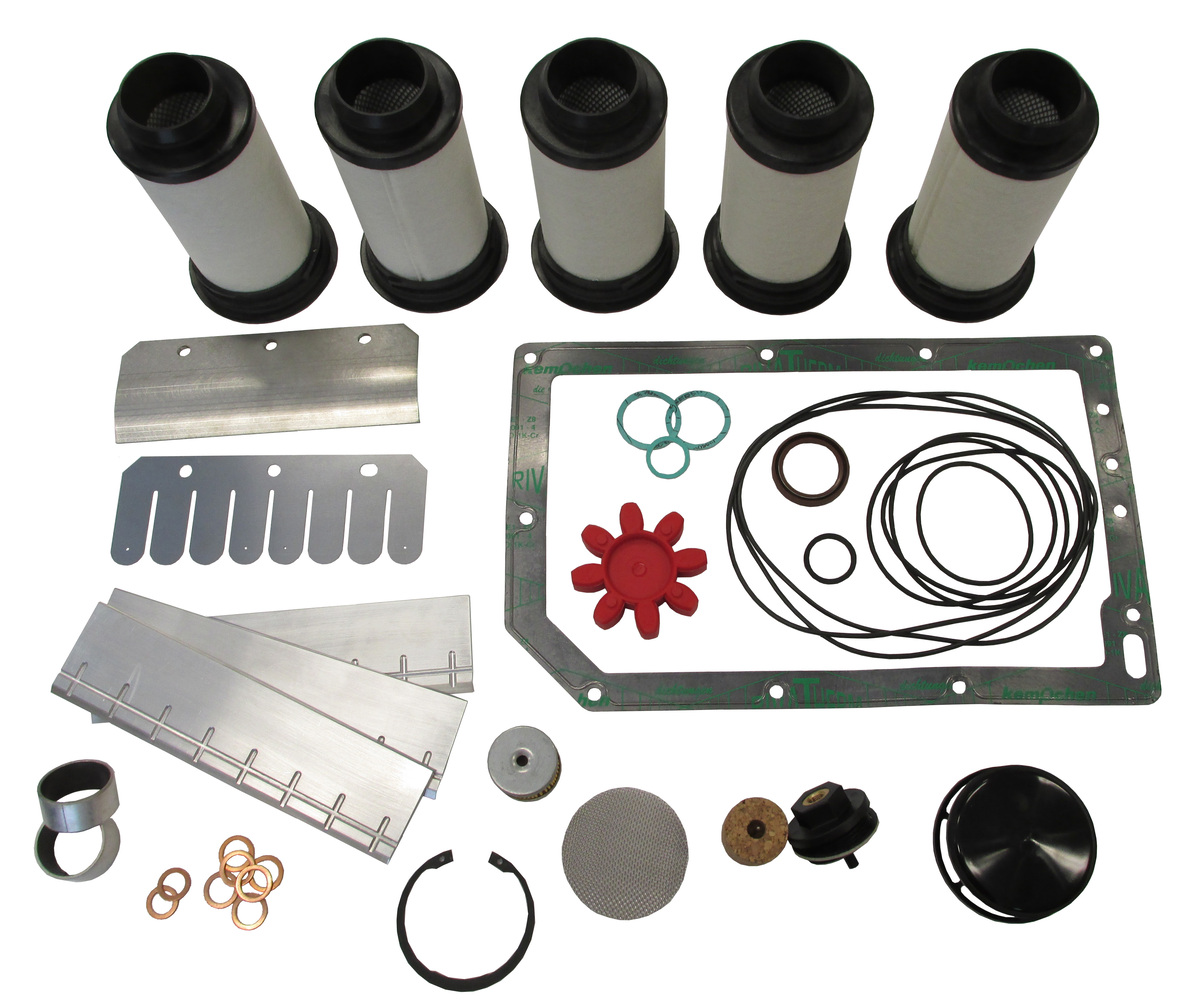 Kit de reconstrucción mayor con Paletas, Rietschle VC 202/303