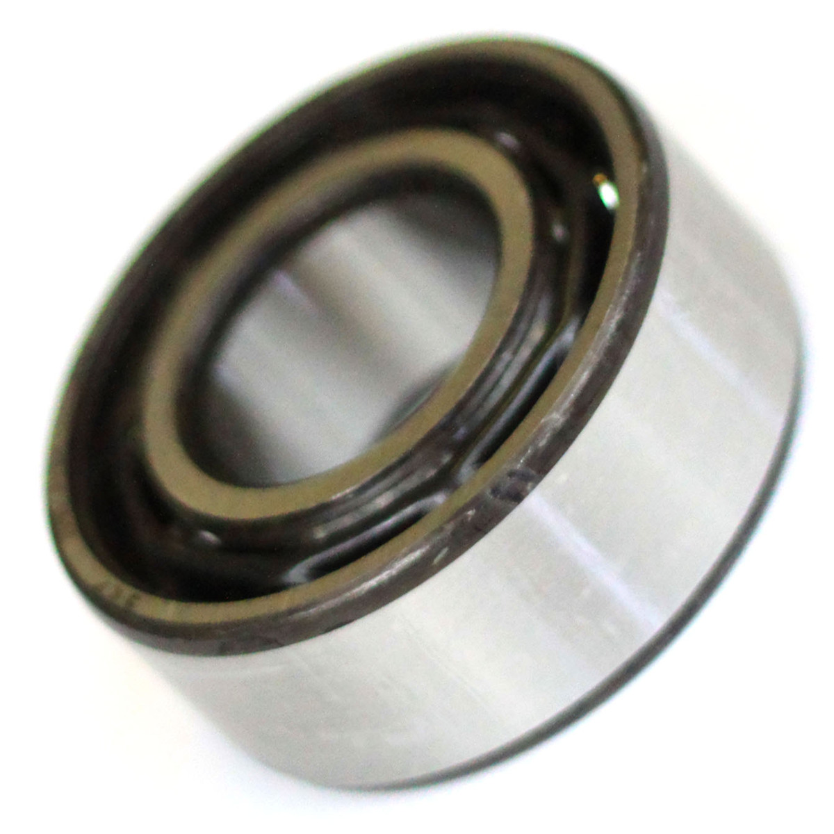 Open Bearing, PFPE, Ebara, AA Series, AA10, AA100WN, AA20, AA70W, Part# 330021