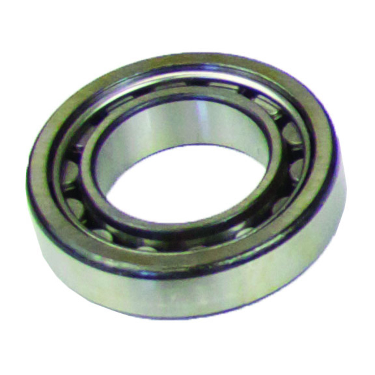Roller Bearing, NU1006, Alcatel-Adixen, Dry pump, Part# 330023