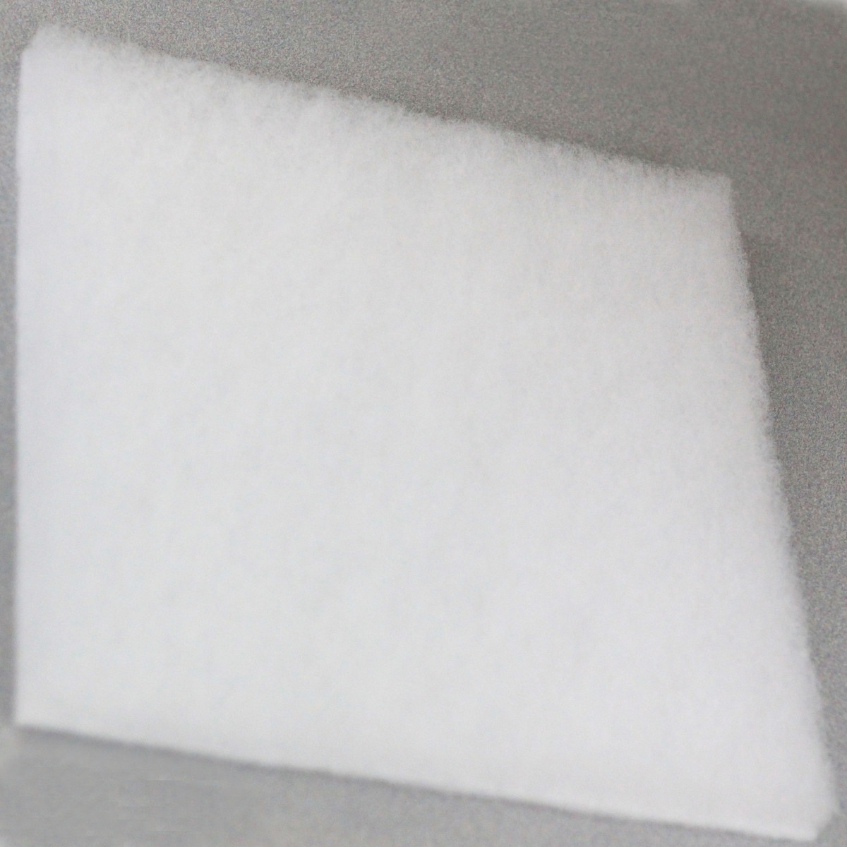 Filtro antivaho, Leybold, Trivac, D8B, S8B, Part# PL39026011