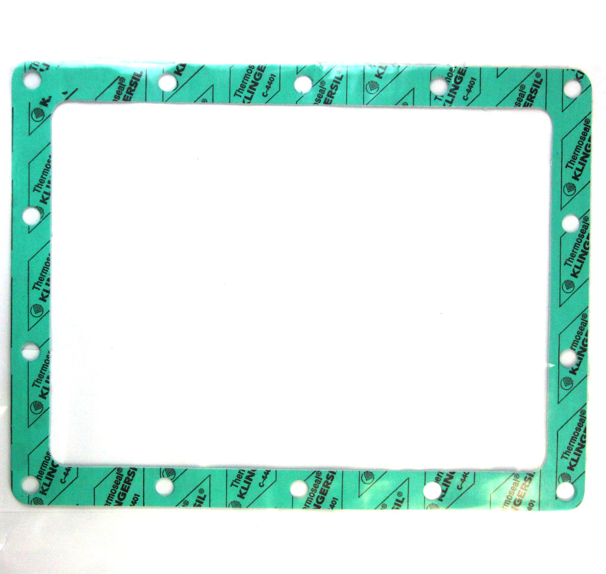 Busch Gasket Part# 48012800