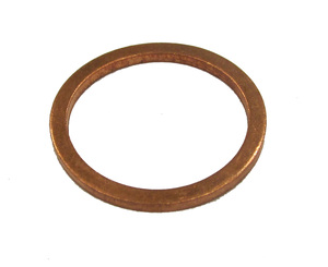 Busch Ring Gasket Part# 484000046