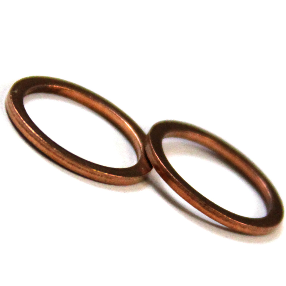 ring Gasket, Busch, R5, 0160B, 0250B, 0160D, Part# 48404000