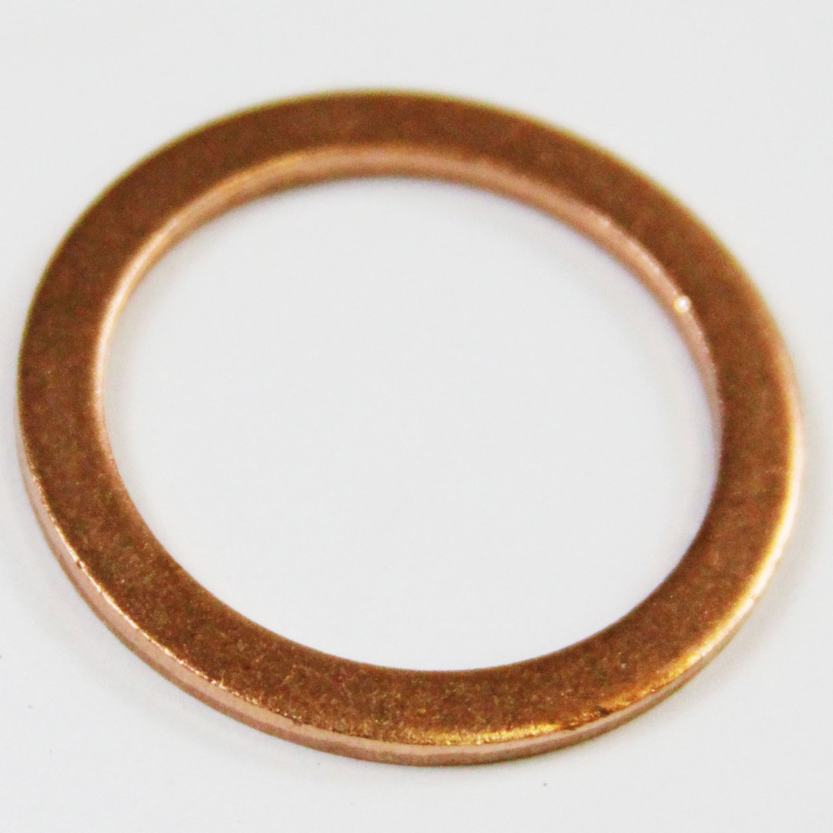 Busch Ring Gasket Part# 48406200