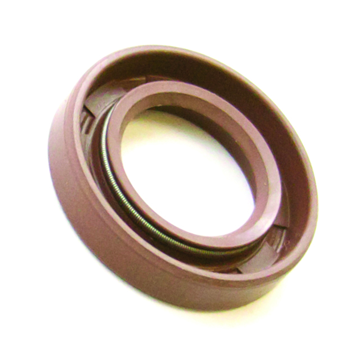 Shaft Seal, Alcatel-Adixen, Varian-Agilent, Part# 79101