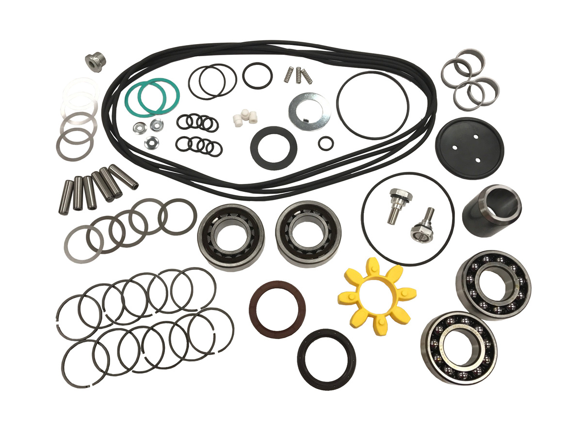 Busch Overhaul Kit - WV 1000B / WV 1000C Part# 994000103