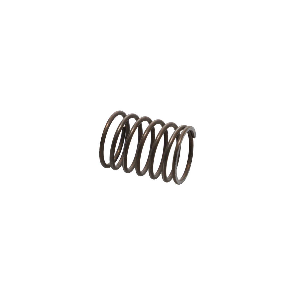 Valve Spring